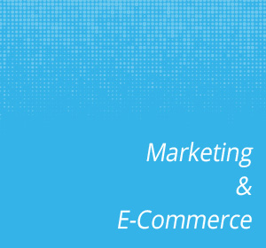 Marketing E-Commerce